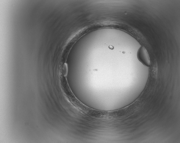 X0000080130732200612302035