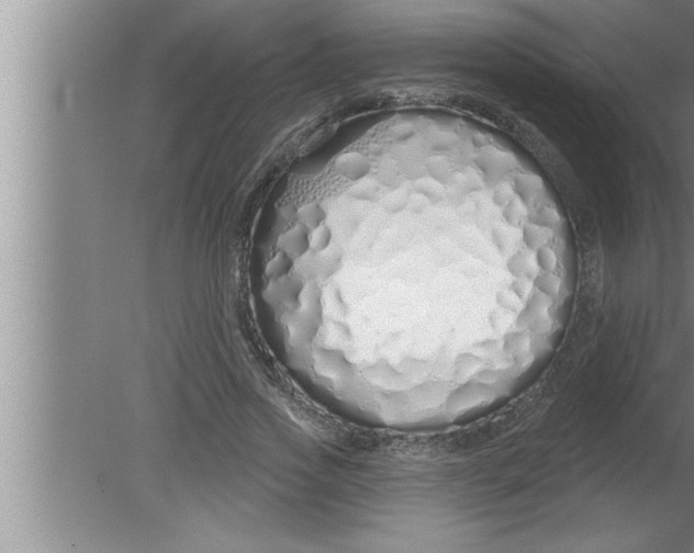 X0000080130733200612302035