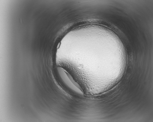 X0000080130734200612302035