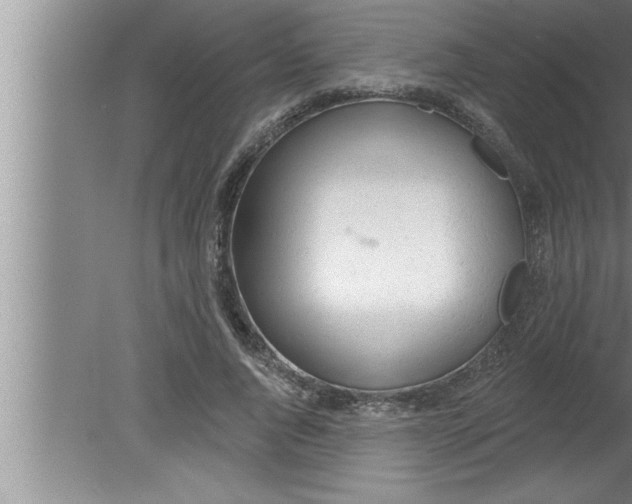 X0000080130736200612302035