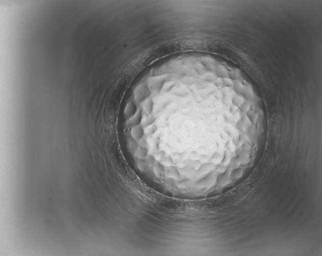 X0000080130737200612302035