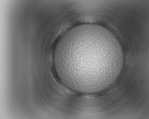 X0000080130739200612302035