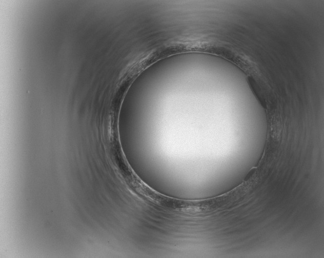 X0000080130740200612302035