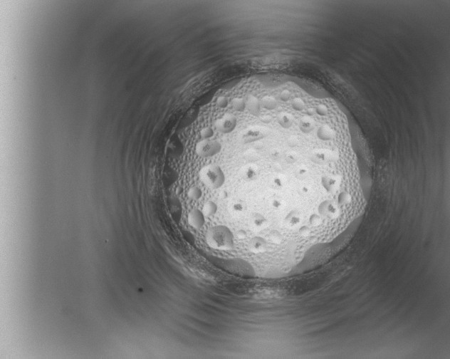 X0000080130741200612302035