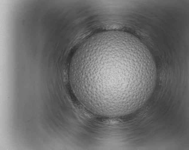 X0000080130743200612302035