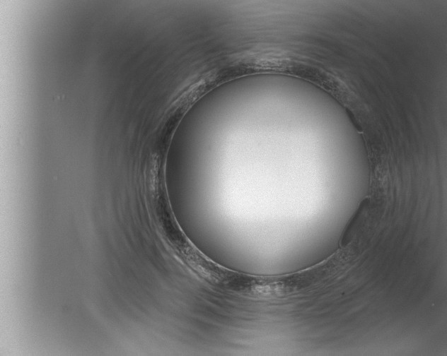 X0000080130744200612302035