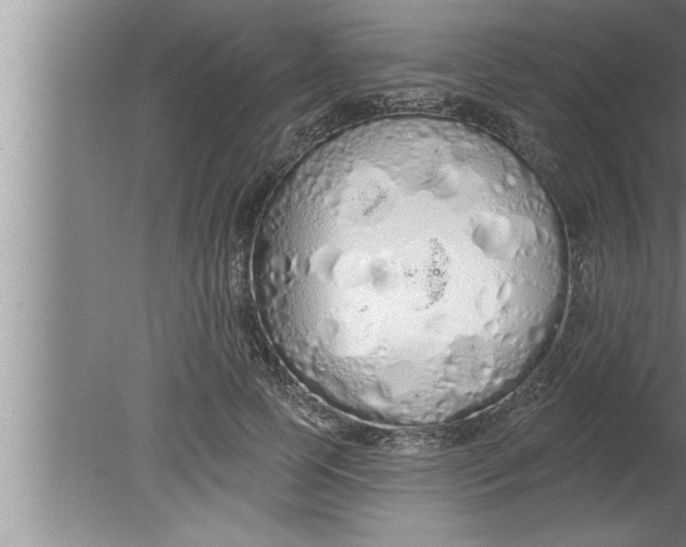 X0000080130745200612302035