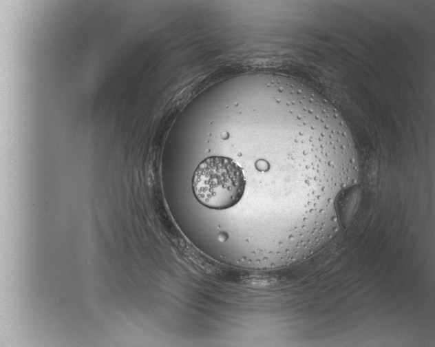 X0000080130746200612302035