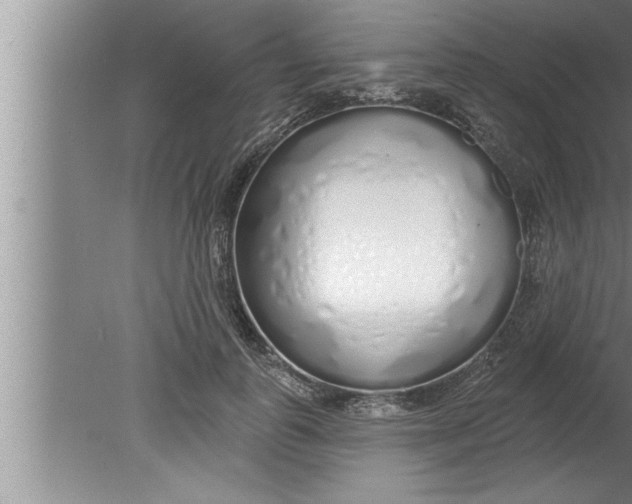 X0000080130747200612302035