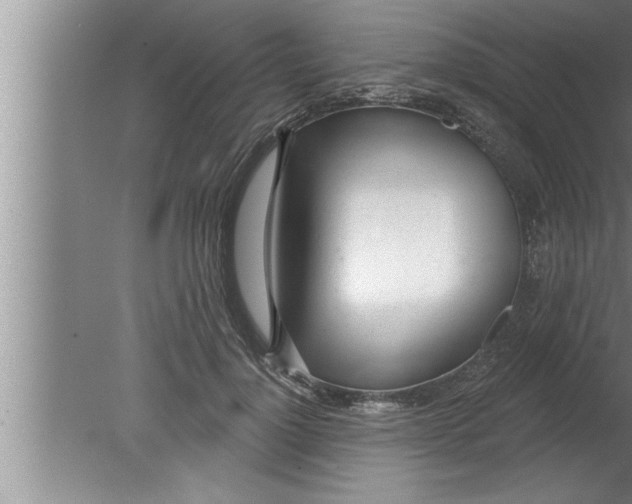 X0000080130748200612302036