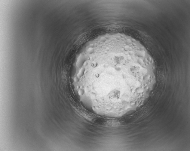 X0000080130749200612302036