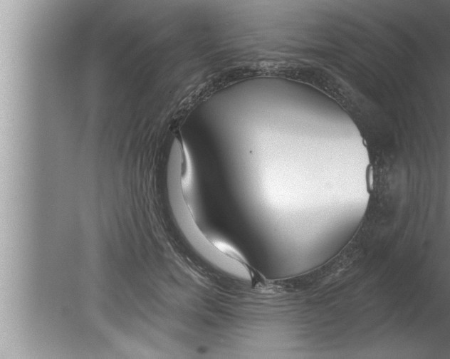 X0000080130750200612302036