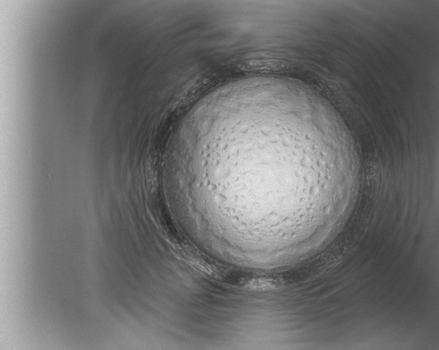 X0000080130751200612302036