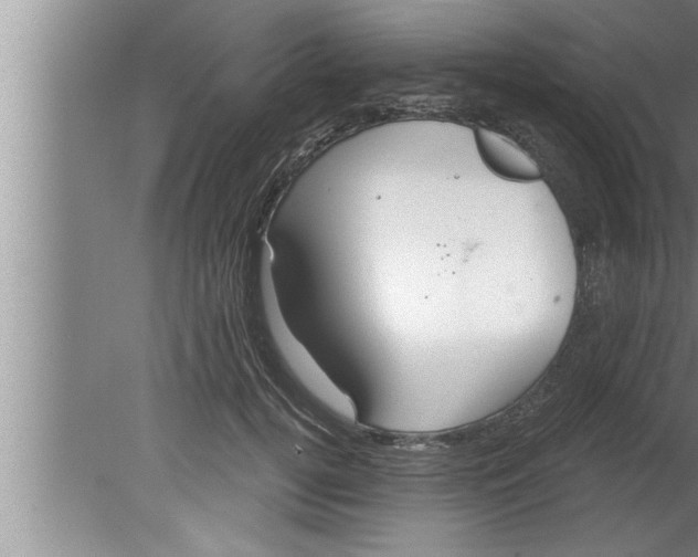 X0000080130752200612302036