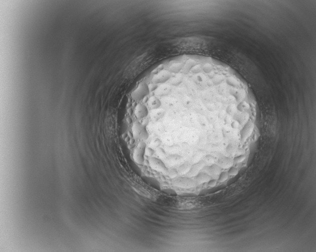 X0000080130753200612302036