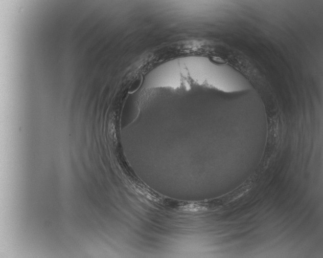 X0000080130754200612302036