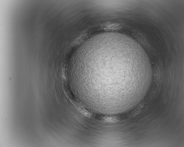 X0000080130755200612302036