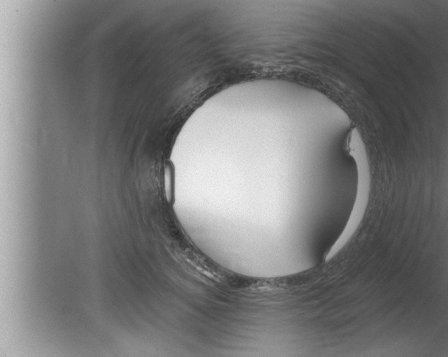 X0000080130756200612302036