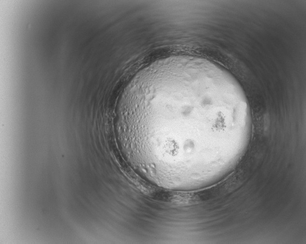 X0000080130757200612302036