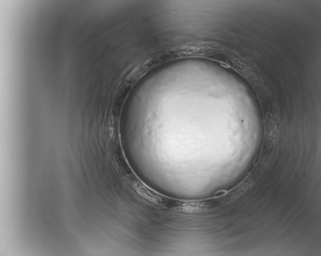 X0000080130758200612302036