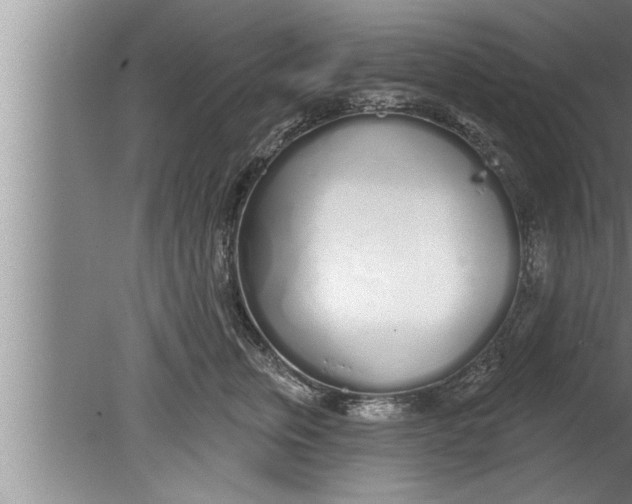 X0000080130759200612302036