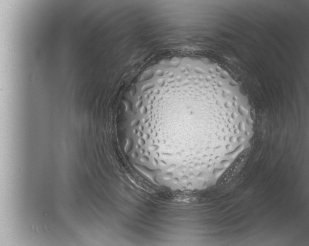 X0000080130760200612302036