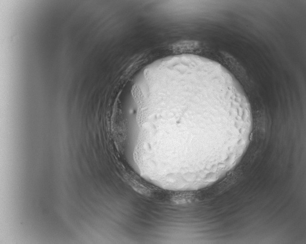 X0000080130761200612302036