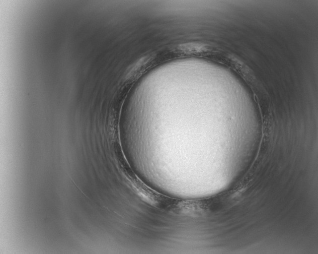 X0000080130762200612302036