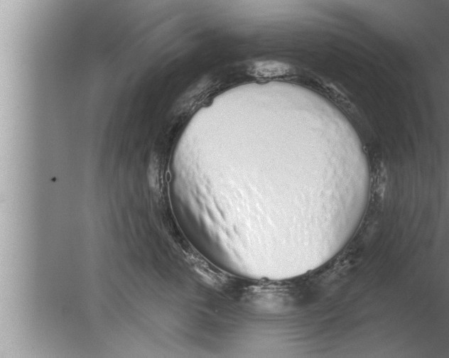 X0000080130763200612302036