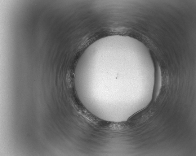 X0000080130764200612302036