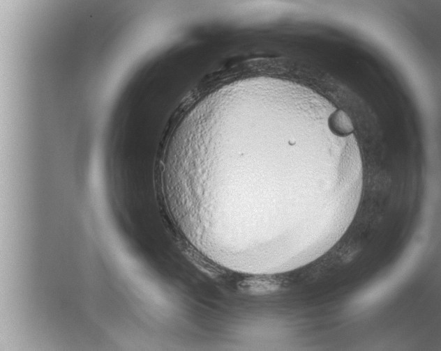 X0000080130765200612302036