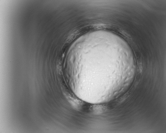 X0000080130766200612302036