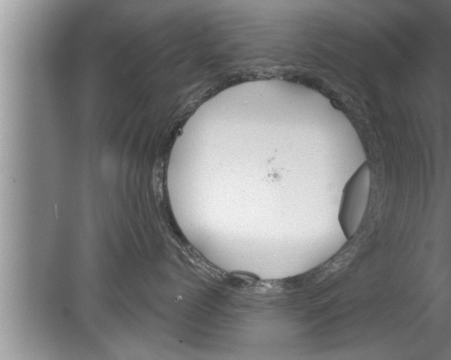 X0000080130768200612302036