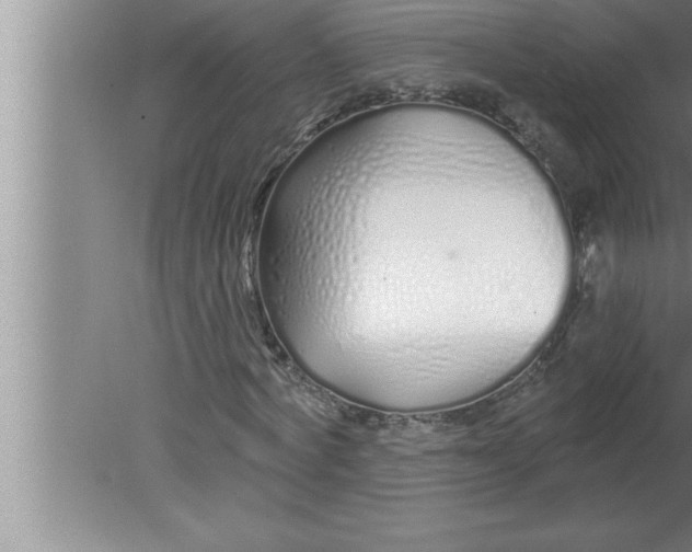 X0000080130772200612302035