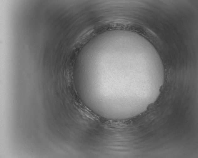 X0000080130774200612302035