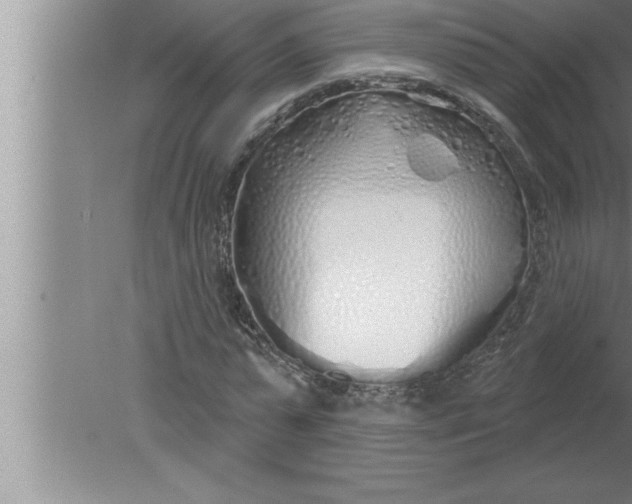 X0000080130775200612302035