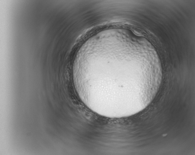 X0000080130776200612302035