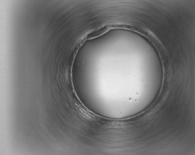 X0000080130777200612302035