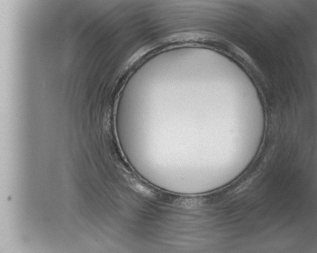 X0000080130778200612302035