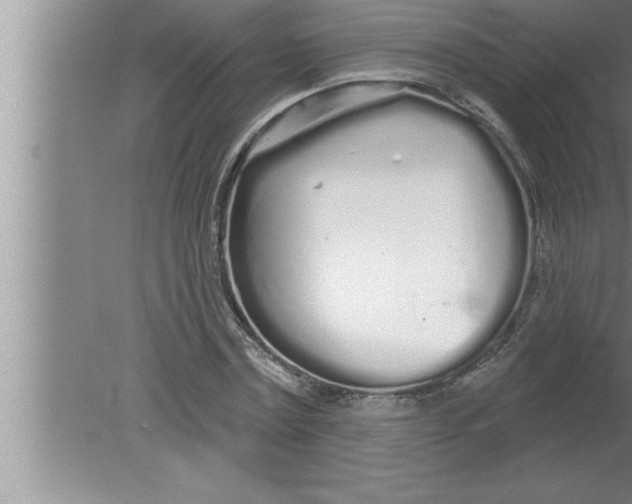 X0000080130779200612302035