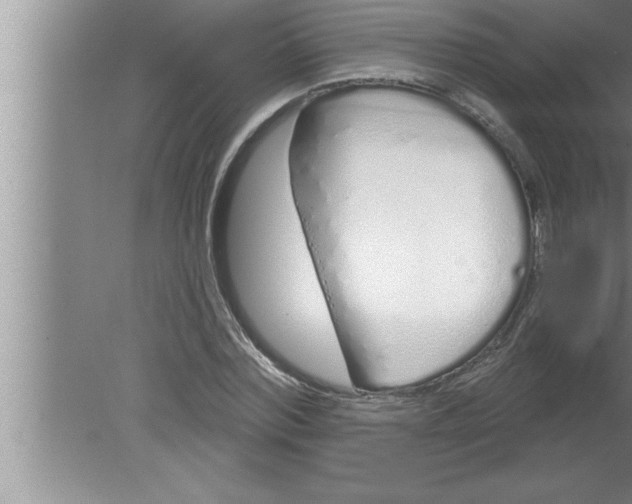 X0000080130780200612302035