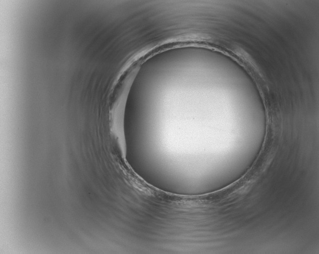 X0000080130781200612302035