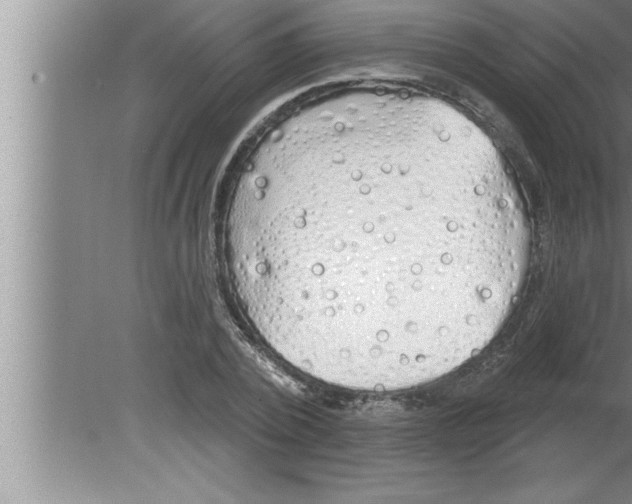 X0000080130784200612302035