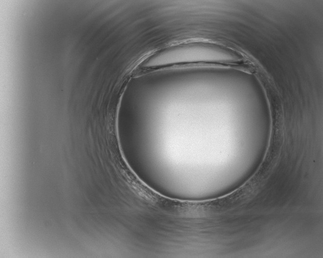 X0000080130785200612302035