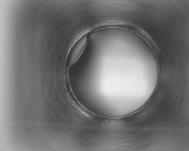 X0000080130786200612302035