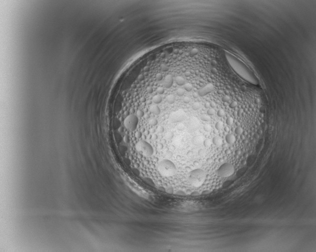 X0000080130787200612302035