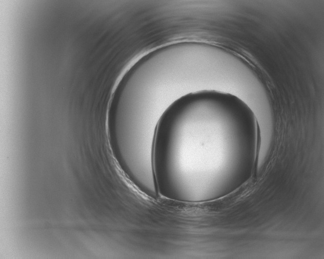 X0000080130788200612302035