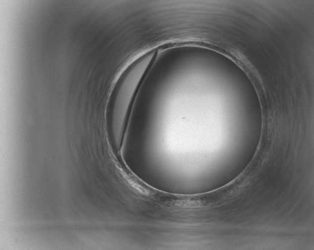 X0000080130789200612302035