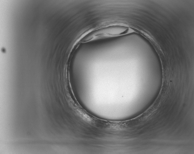 X0000080130790200612302035