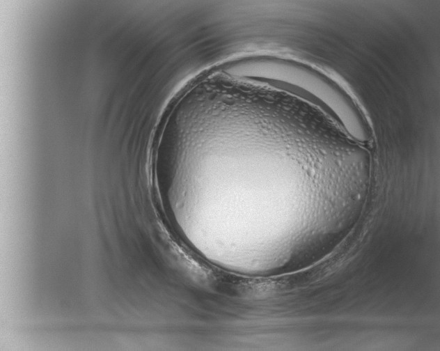 X0000080130791200612302035